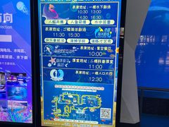 -泉城欧乐堡海洋极地世界