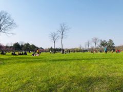 -玛喜达韩国料理·炸串·小吃(苏宁易购店)