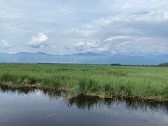 -野鸭湖国家湿地公园