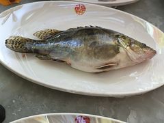 -添福来墨鱼饺子 · 海鲜东北菜(大连星海·黄浦路店)