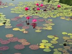 -国家植物园南园