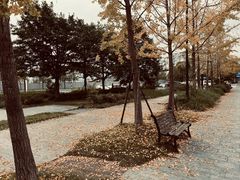 -杭州龙禧福朋喜来登酒店