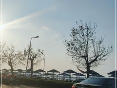 -南汇嘴观海公园