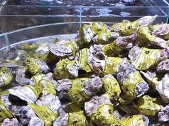 -聚盛源蒸汽海鲜火锅烤肉自助(巨川金海岸购物广场店)