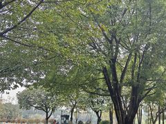 -西南政法大学(渝北校区)