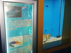 -北戴河圣蓝海洋公园