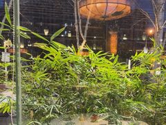 -一江水食府(后湖店)