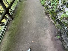 -仙岛湖旅游风景区