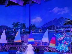 -海合安武汉极地海洋公园