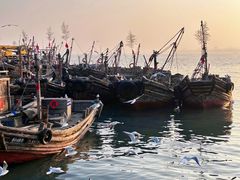 -巧克力渔家.小船海鲜胶东菜(万平口店)