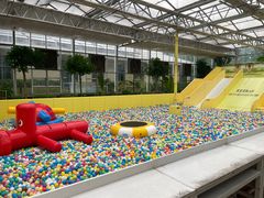 -南宫五洲植物乐园