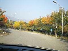 -北京鹫峰国家森林公园