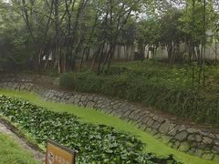 -菊花台公园