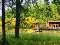 -黄海国家森林公园