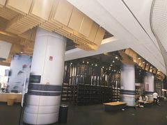 -TheRink大零溜冰场(IFS国金中心店)