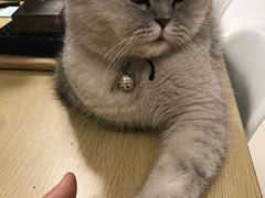 -Oasis绿洲银饰珍珠手作diy(壹方城店)