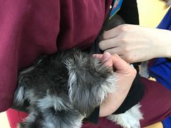 -芭比堂动物医院·犬猫全科·异宠专科(雁塔分院)