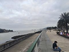 -横琴客运码头