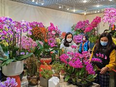 -双季花艺园艺市场(浦东店)