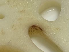 -蜀辣居鲜货老火锅(万象城店)