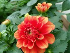 -白沙门生态公园