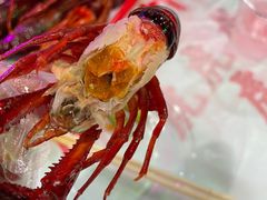 -虎虎龙虾大排档(双井店)