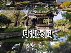 -月湖公园