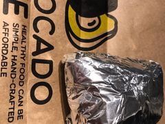 -油梨树AVOCADO TREE(顺义新国展店)