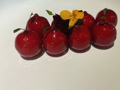 樱桃鹅肝-玫瑰厅上海菜(兴国路店)