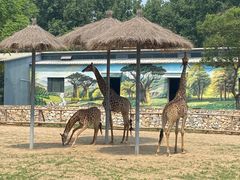 -北京野生动物园