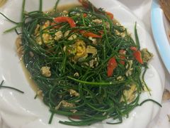 -煲来饱去冷水鱼