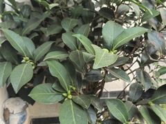 -老瓦房冷锅串串(文殊院店)