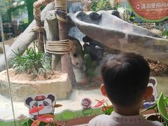 -灵玲国际马戏城