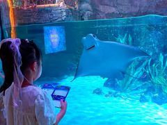 -沈阳海洋探索中心