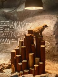 -Zoolung Zoolung动物主题公园(海信广场店)