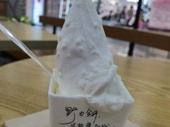 -野人先生Gelato(上海长宁龙之梦店)