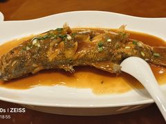 -天禄华美达广场酒店-雅兰轩中餐厅(青年路店)