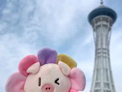 -宁波海天一洲景区
