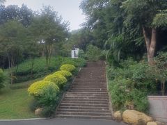 -炮台山公园
