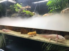 -梦幻海洋王国(吾悦广场张家港店)