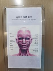 -丰联丽格医疗美容·联合丽格眼整形中心