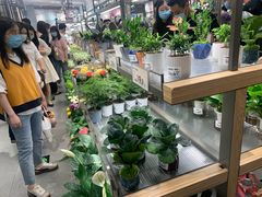-鹿岛生活(熙地港店)