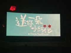 -枫花园汽车电影院(朝阳公园店)