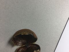 -栗子侠奶皮子糖葫芦(长宁店)