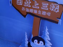 -海合安武汉极地海洋公园