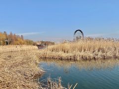 -苏州太湖湖滨国家湿地公园