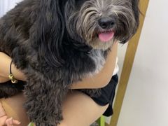 -萌兽医馆·绝育·24小时内科·宠物医院(德胜店)