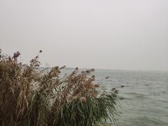 -阳澄湖半岛旅游度假区