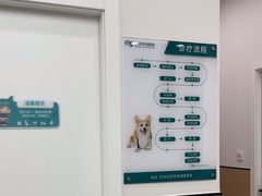 -瑞派康怡24h宠物医院·犬猫医疗中心·微创绝育(瑞景分院)