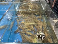 -陈鹏鹏潮汕菜(世界之窗店)